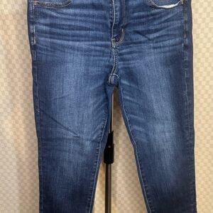 American Eagle Outfitters Dark Blue Skinny Jeans